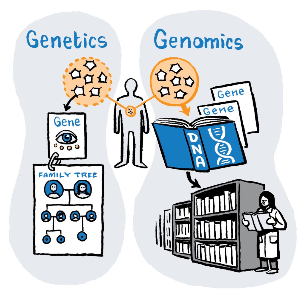 Genetics v. genomics